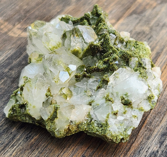 High Grade Forest Epidote with Quartz (Fairy Forest Epidote) Hakkari, Turkey ItemSP467
