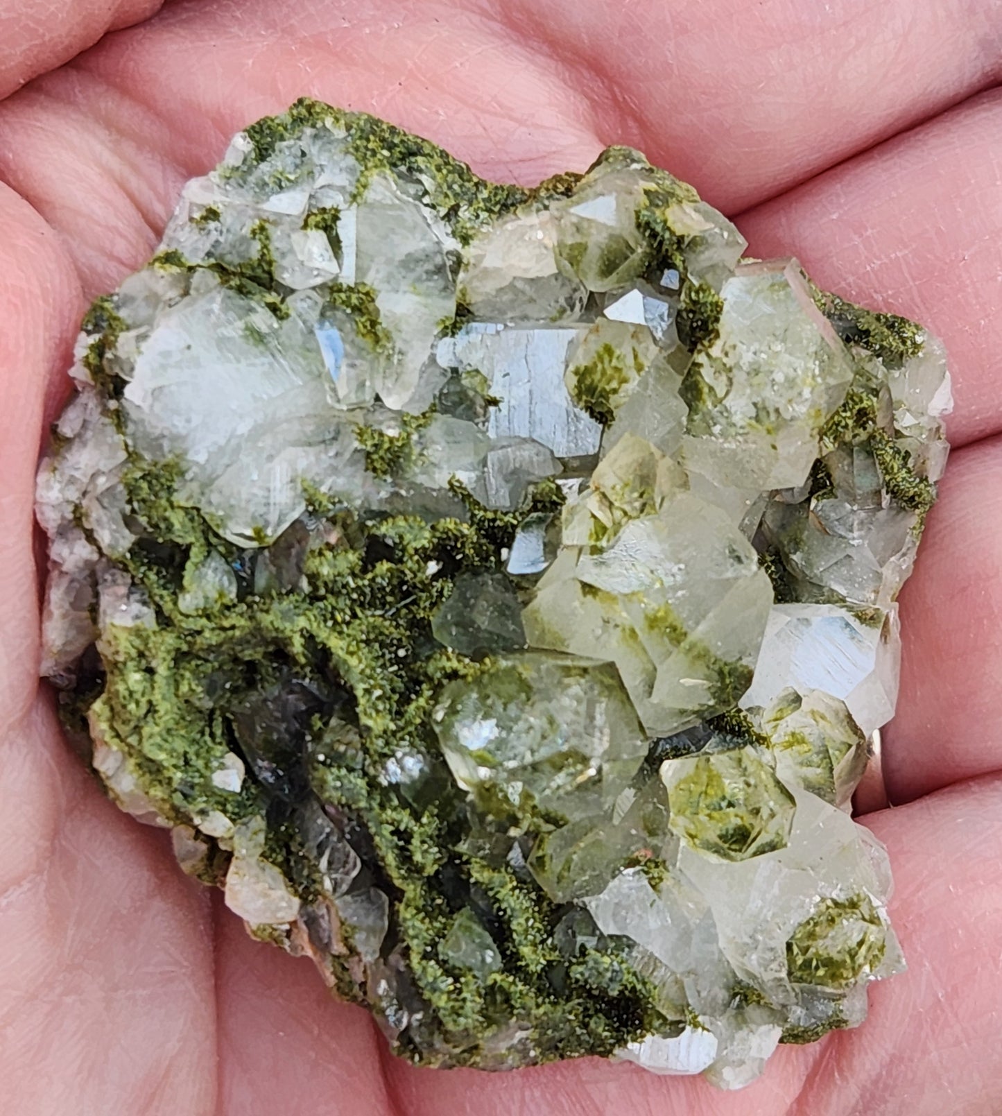 High Grade Forest Epidote with Quartz (Fairy Forest Epidote) Hakkari, Turkey ItemSP467