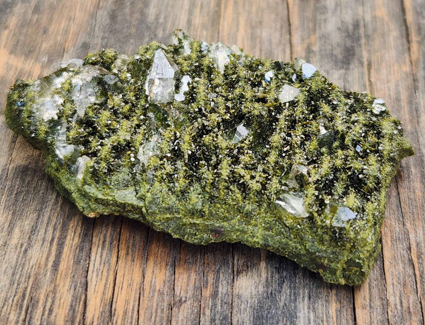 High Grade Forest Epidote with Quartz (Fairy Forest Epidote) Hakkari, Turkey ItemSP468