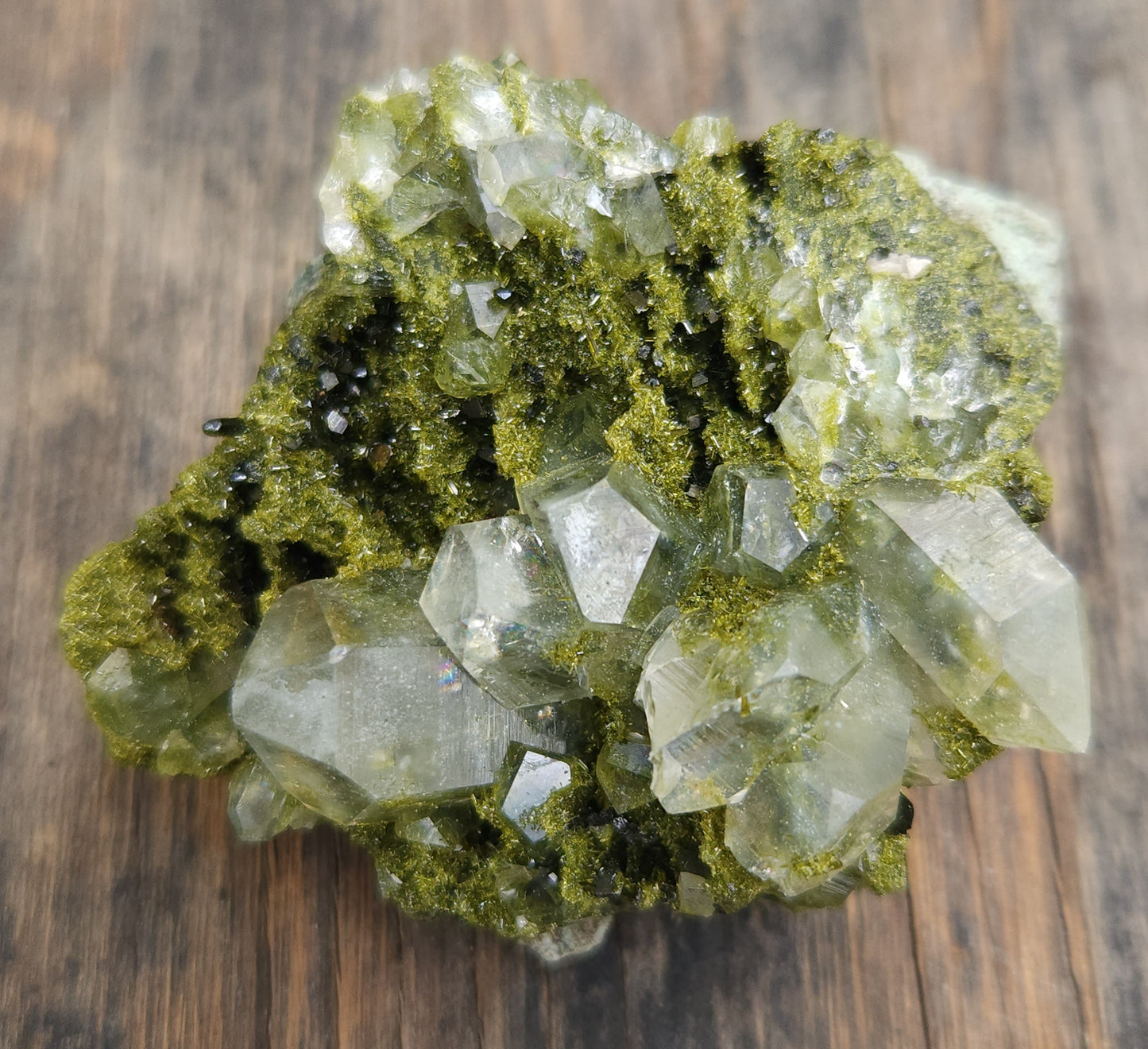 High Grade Forest Epidote with Quartz (Fairy Forest Epidote) Hakkari, Turkey ItemSP469