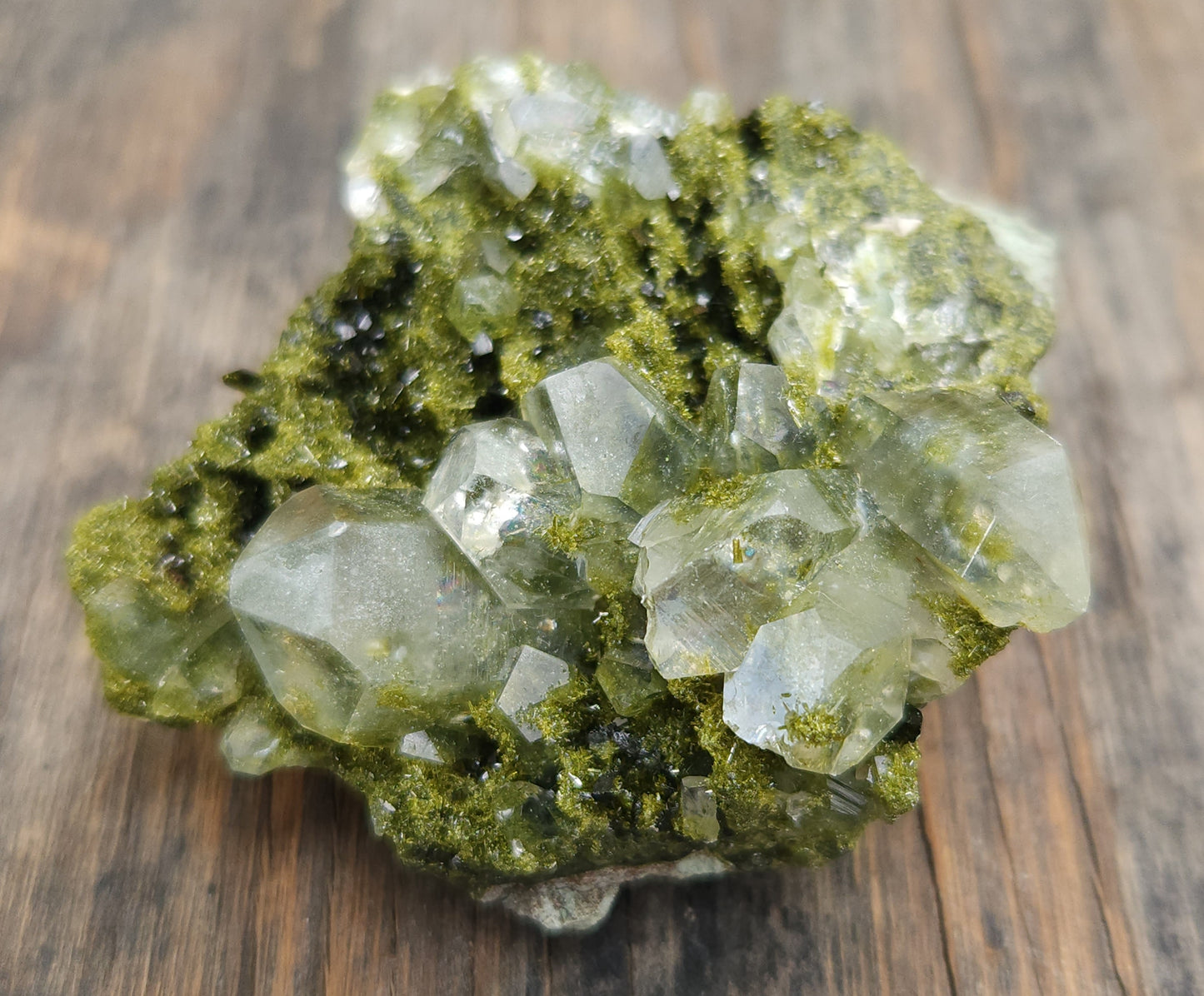High Grade Forest Epidote with Quartz (Fairy Forest Epidote) Hakkari, Turkey ItemSP469