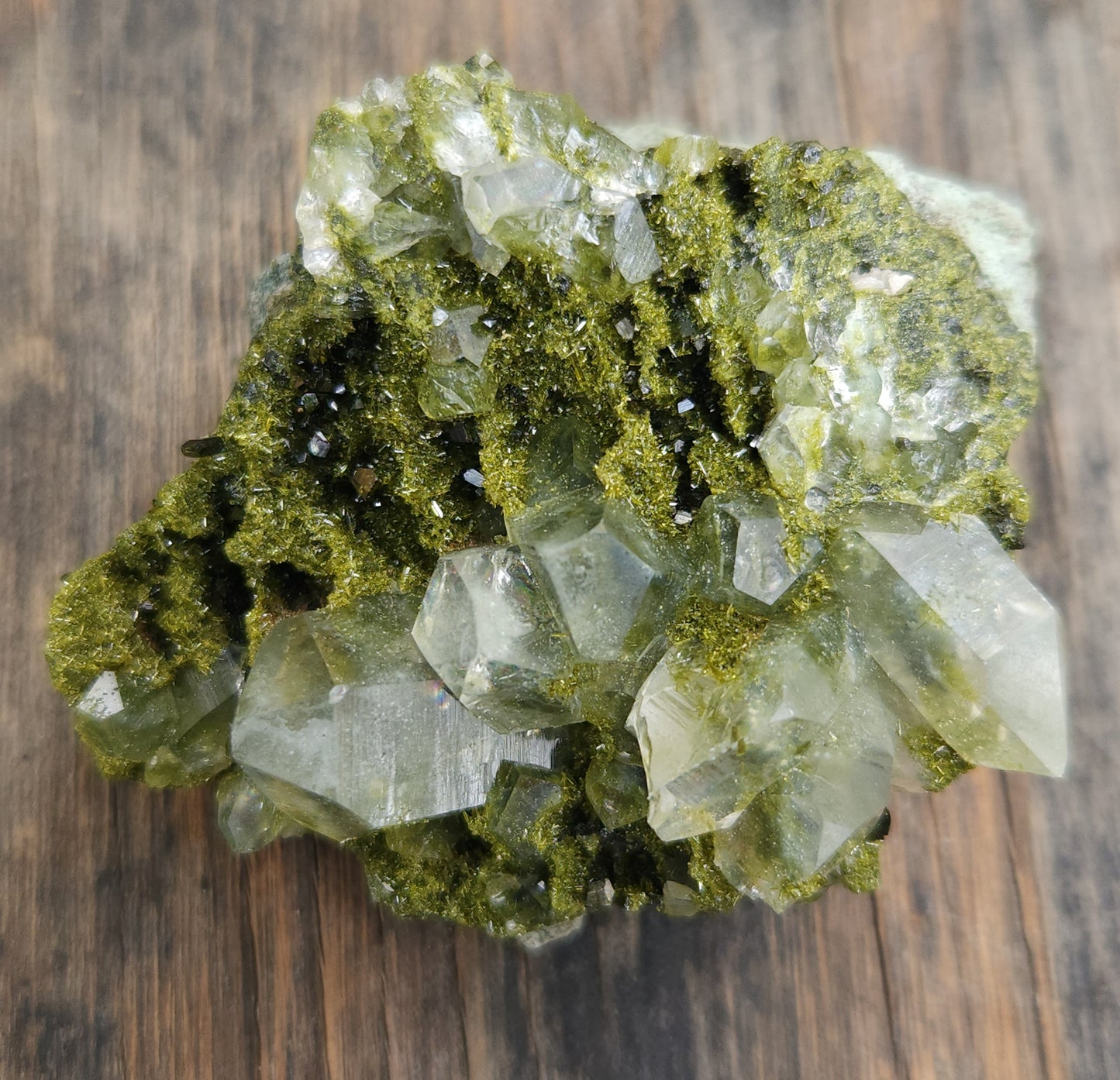 High Grade Forest Epidote with Quartz (Fairy Forest Epidote) Hakkari, Turkey ItemSP469