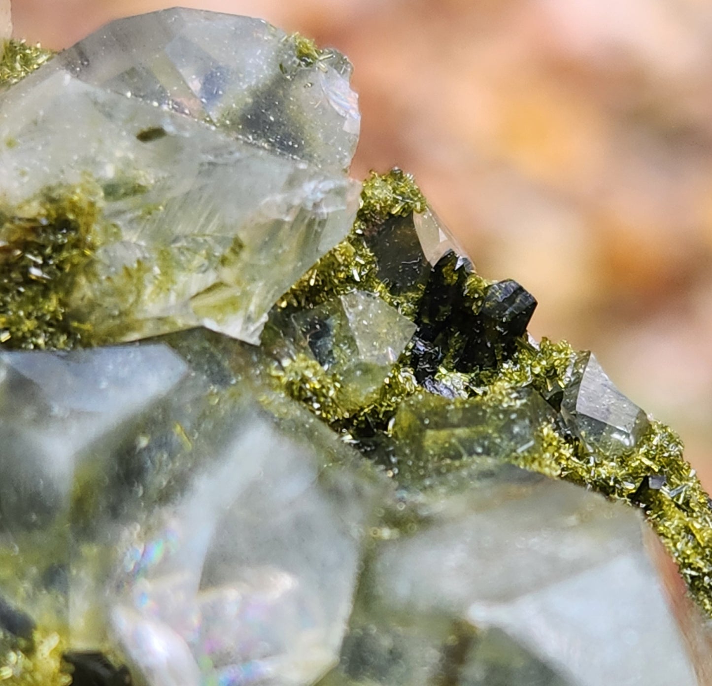 High Grade Forest Epidote with Quartz (Fairy Forest Epidote) Hakkari, Turkey ItemSP469