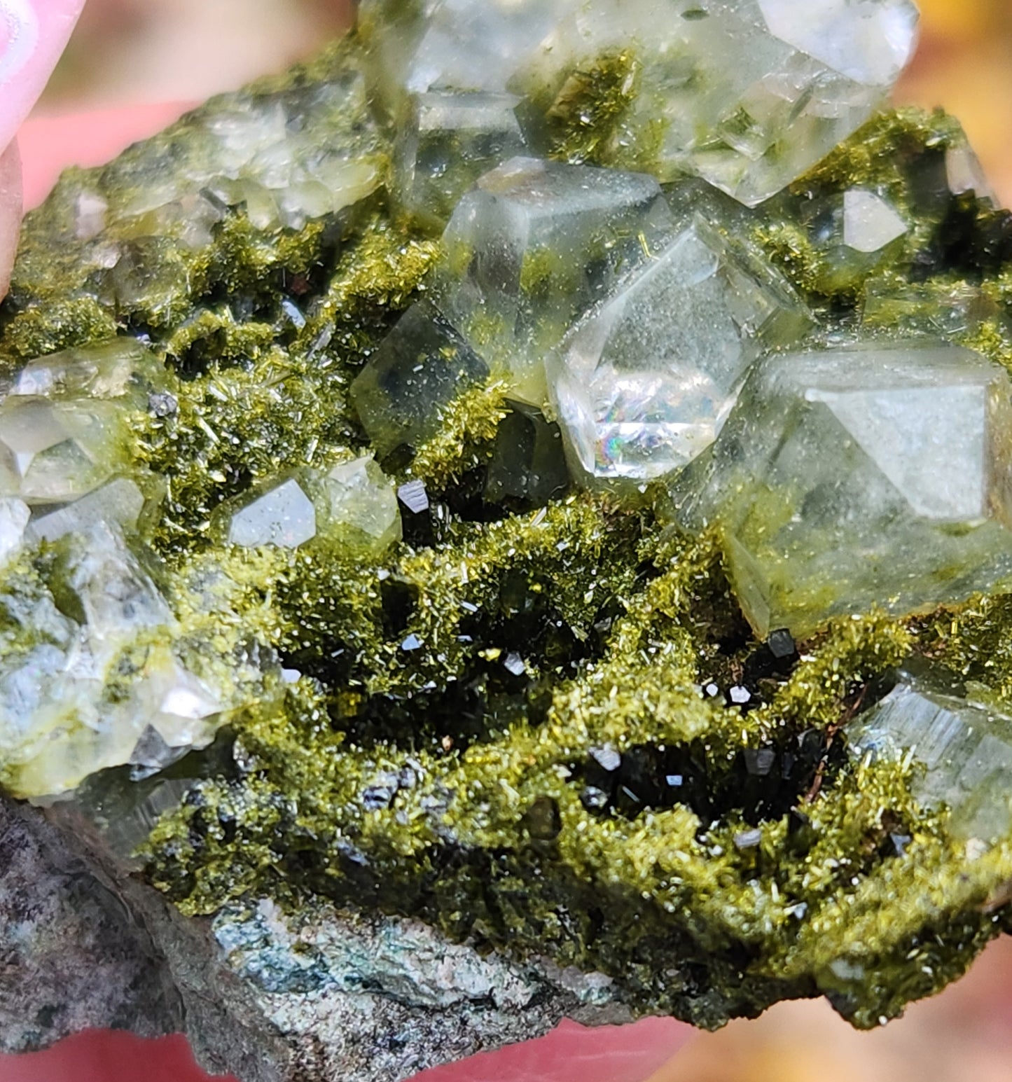 High Grade Forest Epidote with Quartz (Fairy Forest Epidote) Hakkari, Turkey ItemSP469