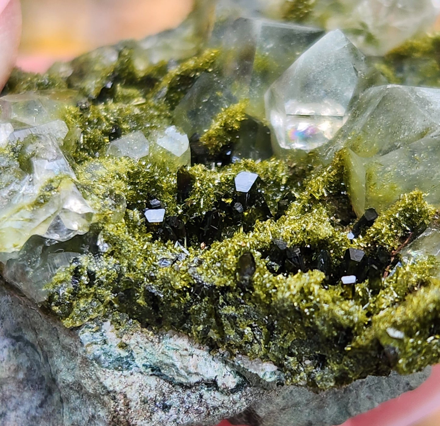 High Grade Forest Epidote with Quartz (Fairy Forest Epidote) Hakkari, Turkey ItemSP469