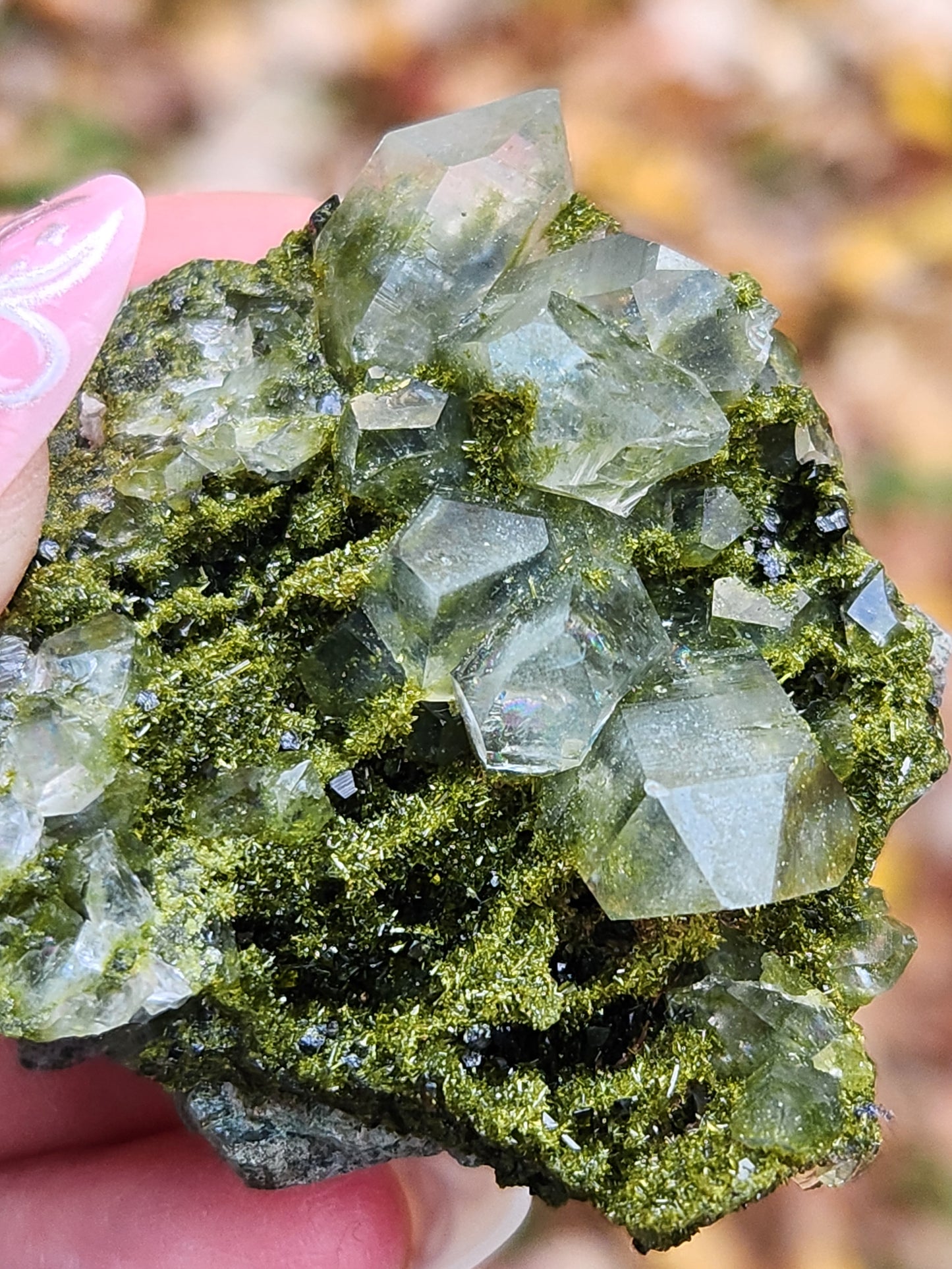 High Grade Forest Epidote with Quartz (Fairy Forest Epidote) Hakkari, Turkey ItemSP469