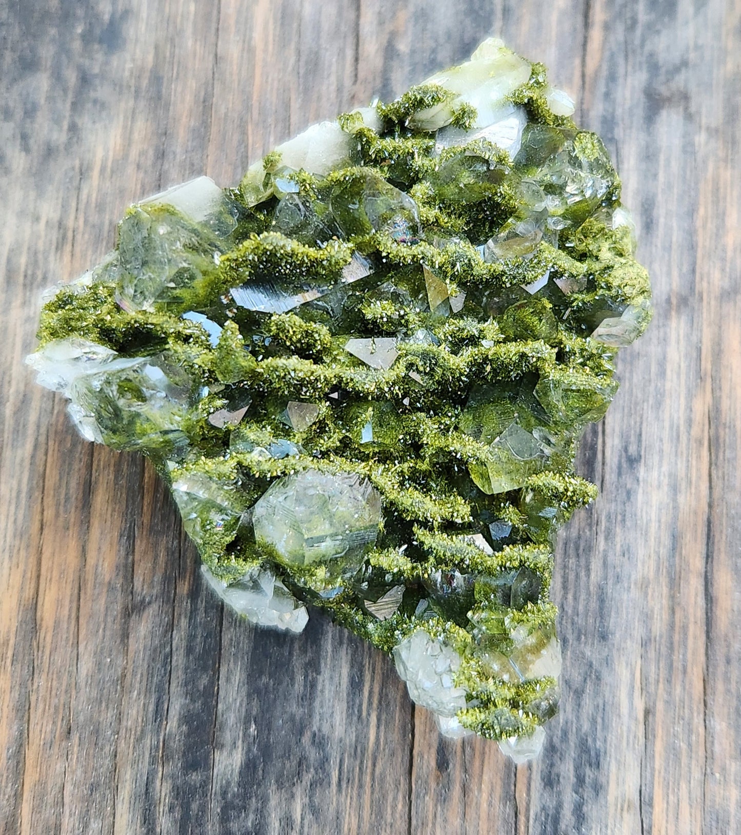 High Grade Forest Epidote with Quartz (Fairy Forest Epidote) Hakkari, Turkey ItemSP470