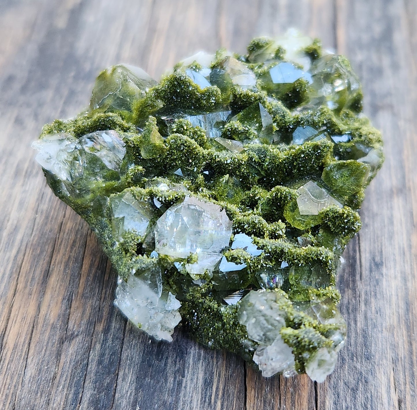 High Grade Forest Epidote with Quartz (Fairy Forest Epidote) Hakkari, Turkey ItemSP470