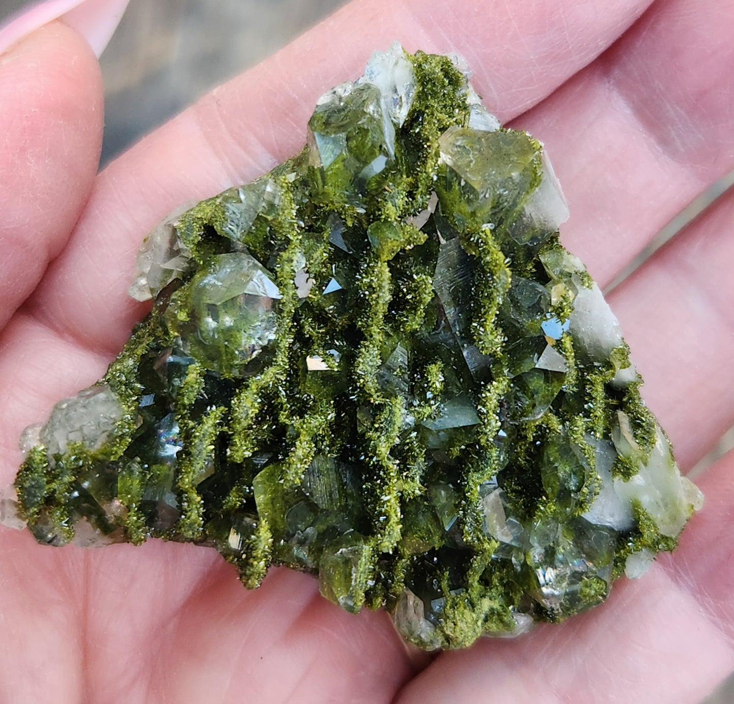 High Grade Forest Epidote with Quartz (Fairy Forest Epidote) Hakkari, Turkey ItemSP470