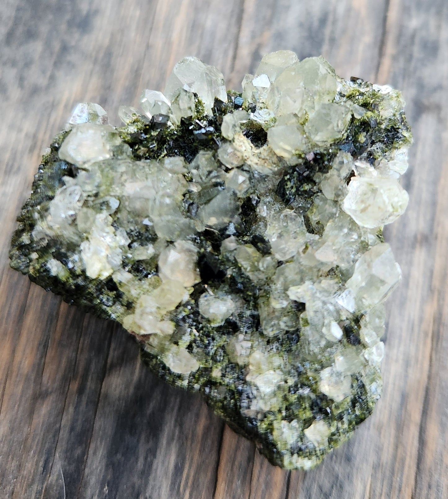 High Grade Forest Epidote with Quartz (Fairy Forest Epidote) Super Dark and Shiny! Hakkari, Turkey ItemSP473