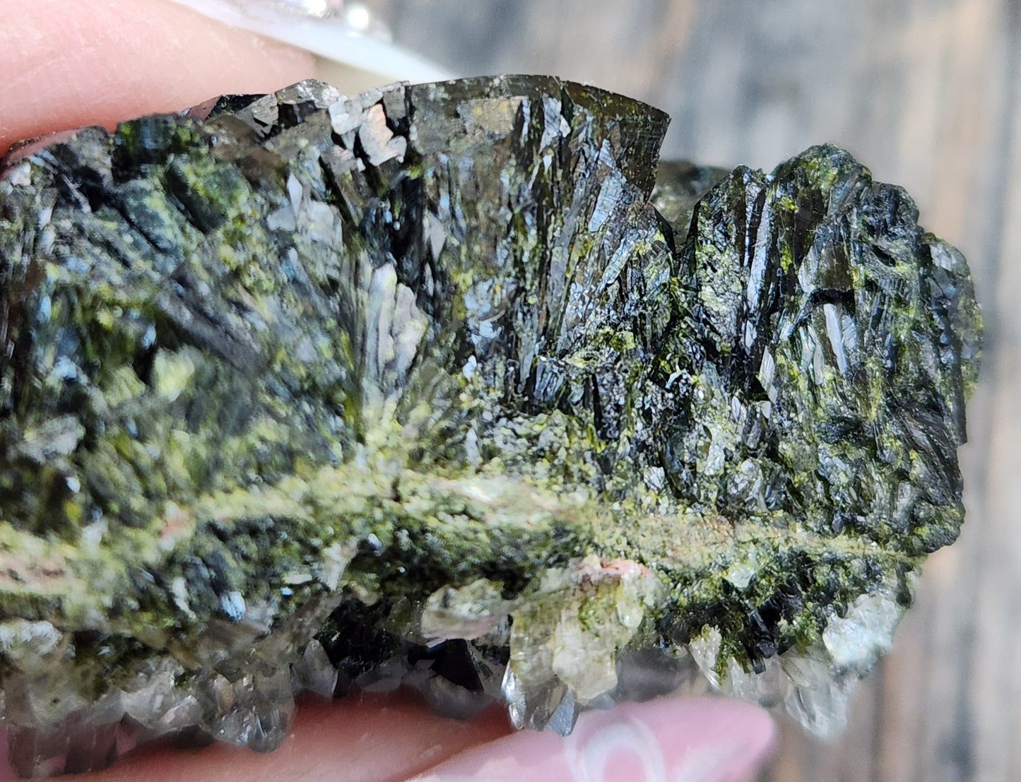 High Grade Forest Epidote with Quartz (Fairy Forest Epidote) Super Dark and Shiny! Hakkari, Turkey ItemSP473