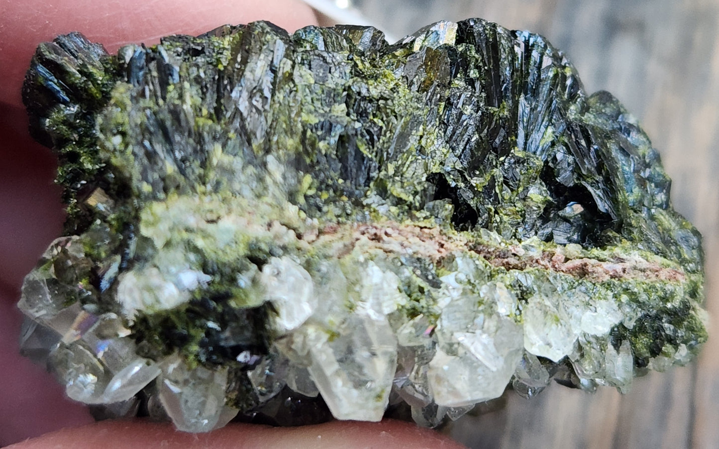High Grade Forest Epidote with Quartz (Fairy Forest Epidote) Super Dark and Shiny! Hakkari, Turkey ItemSP473