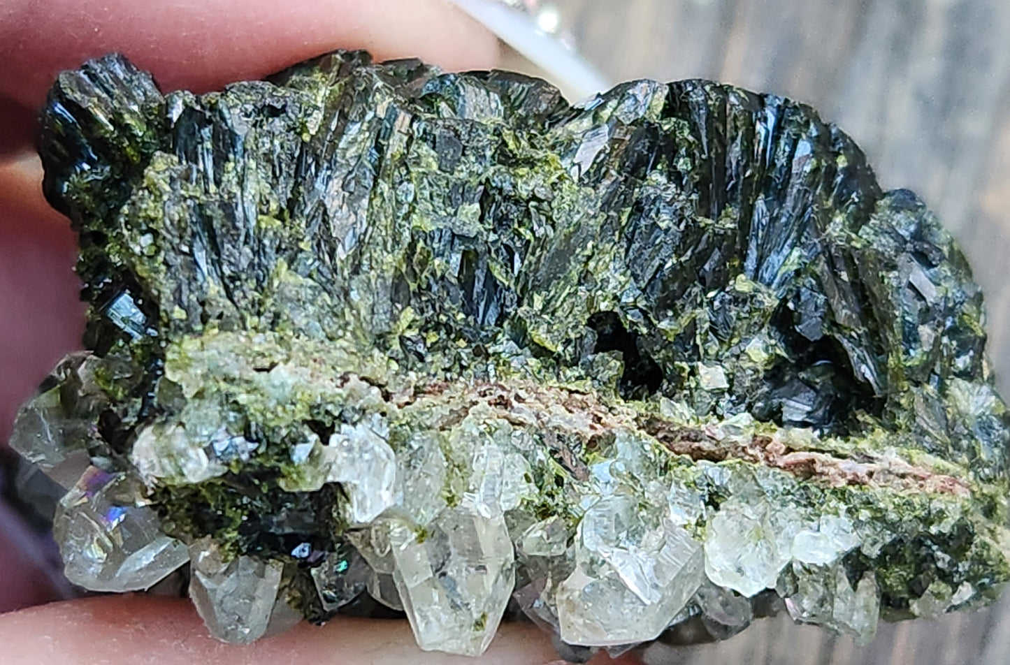 High Grade Forest Epidote with Quartz (Fairy Forest Epidote) Super Dark and Shiny! Hakkari, Turkey ItemSP473