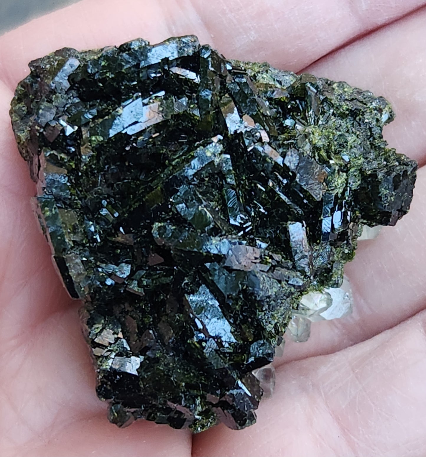 High Grade Forest Epidote with Quartz (Fairy Forest Epidote) Super Dark and Shiny! Hakkari, Turkey ItemSP473
