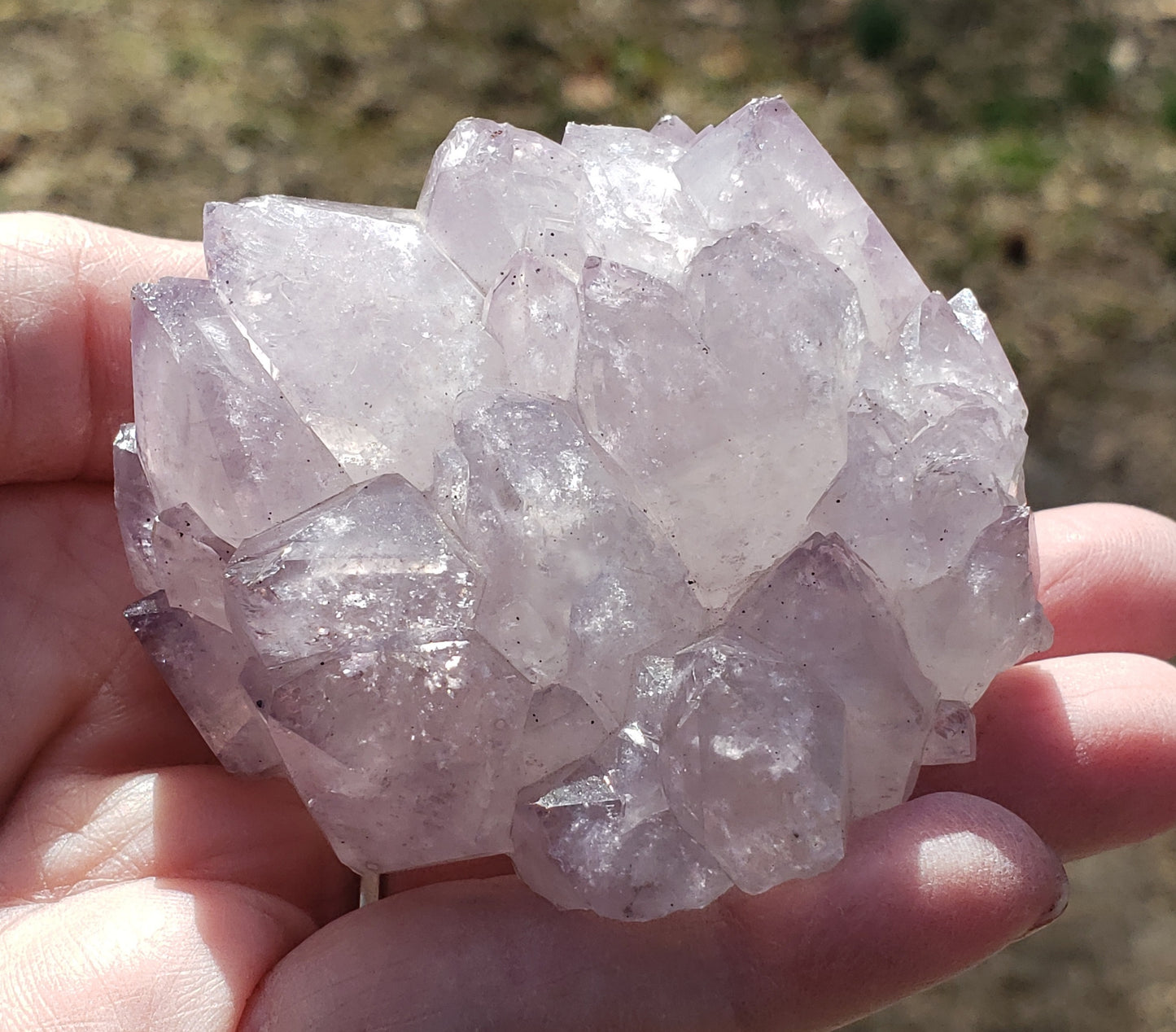 Amethyst pine cluster showing crystal faces and natural texture AM11-2