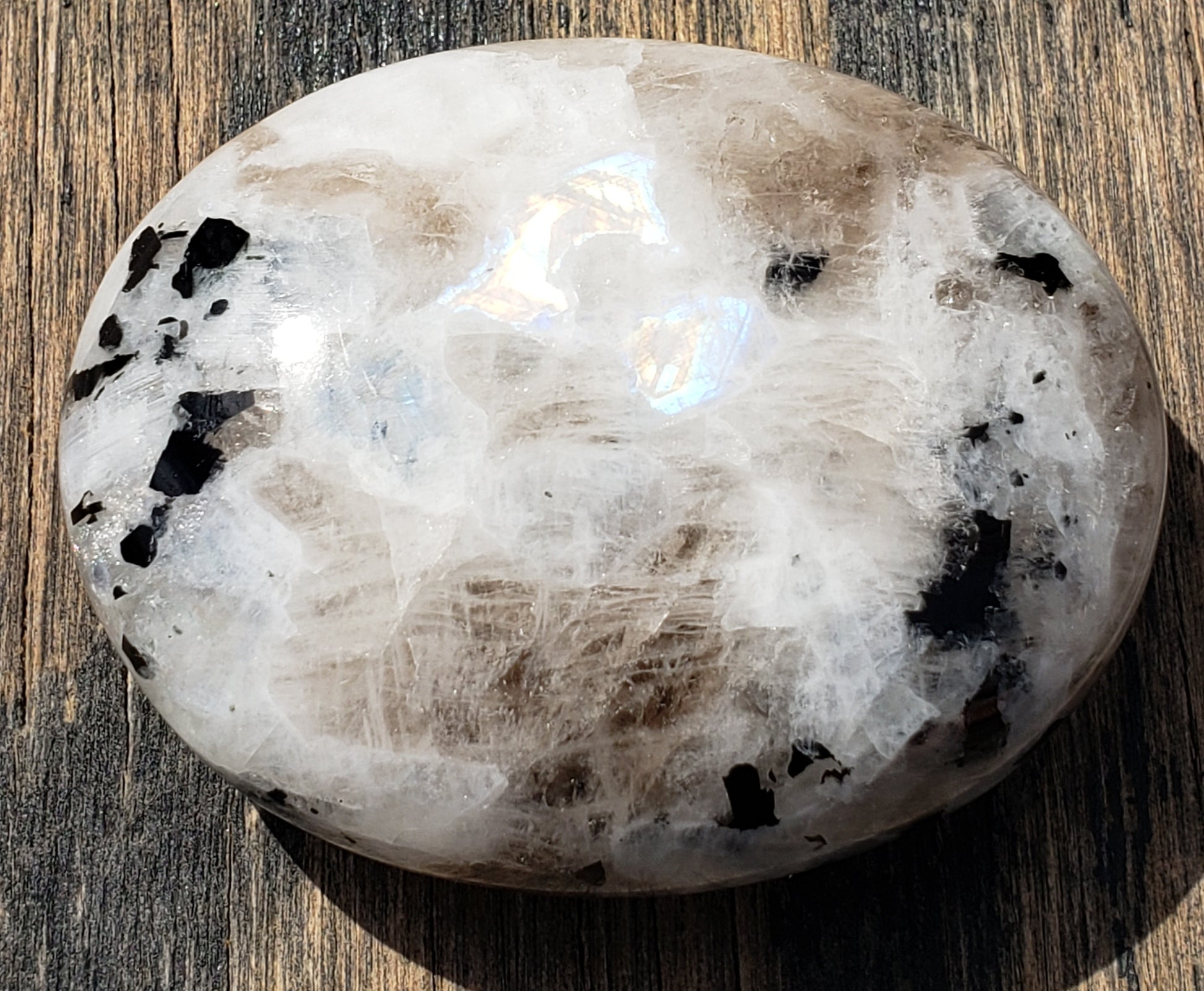 Rainbow moonstone palm stone showing soft white color with subtle blue flash in natural light PS06-1