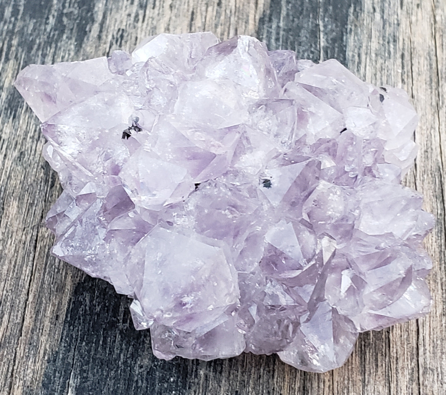 Amethyst pine cluster with tightly packed crystal points and lilac color AM13-2