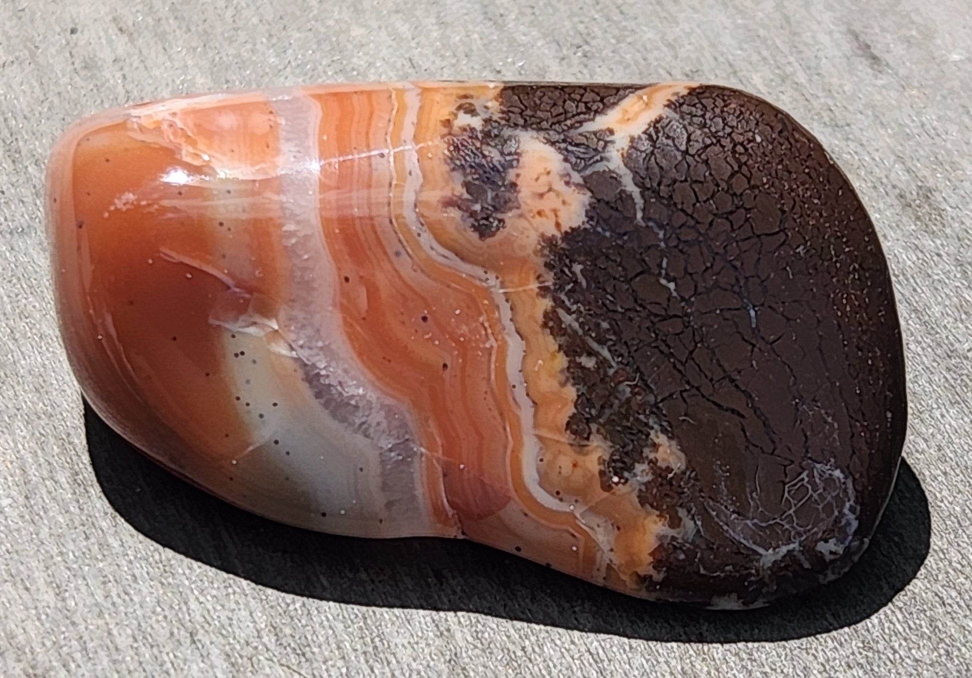 Close view of orange and cream band transitions TA277