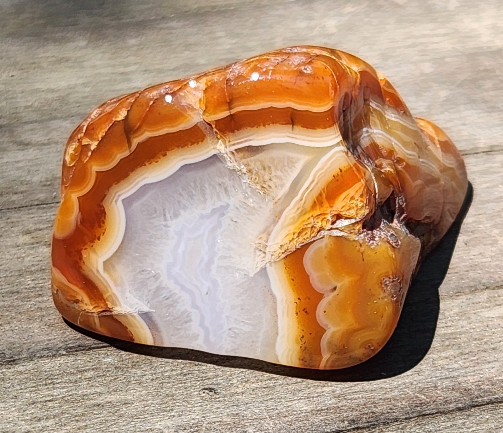 Polished banded agate with white transition lines TA327