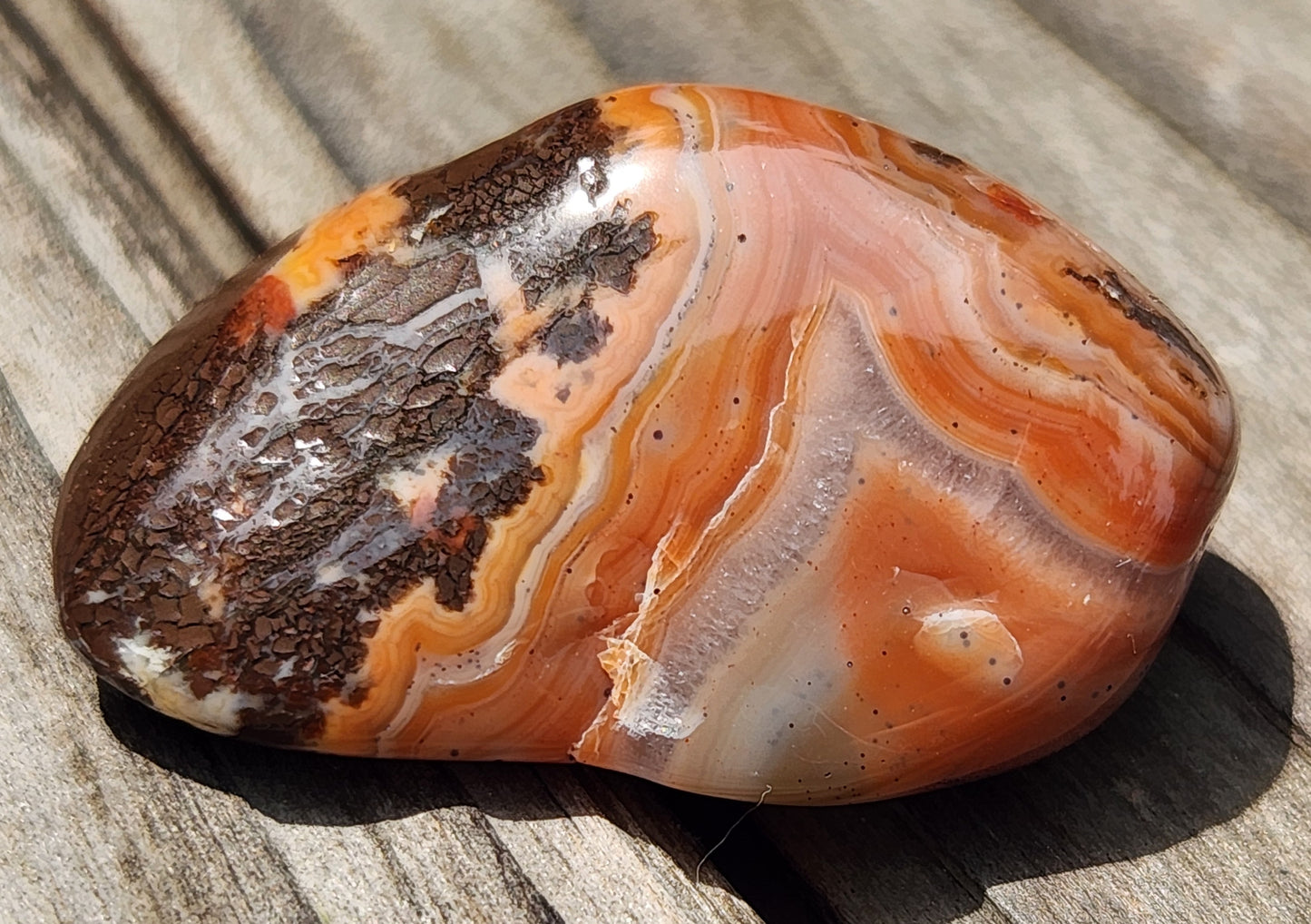 Mexican Fortification Agate with burnt orange banding TA277