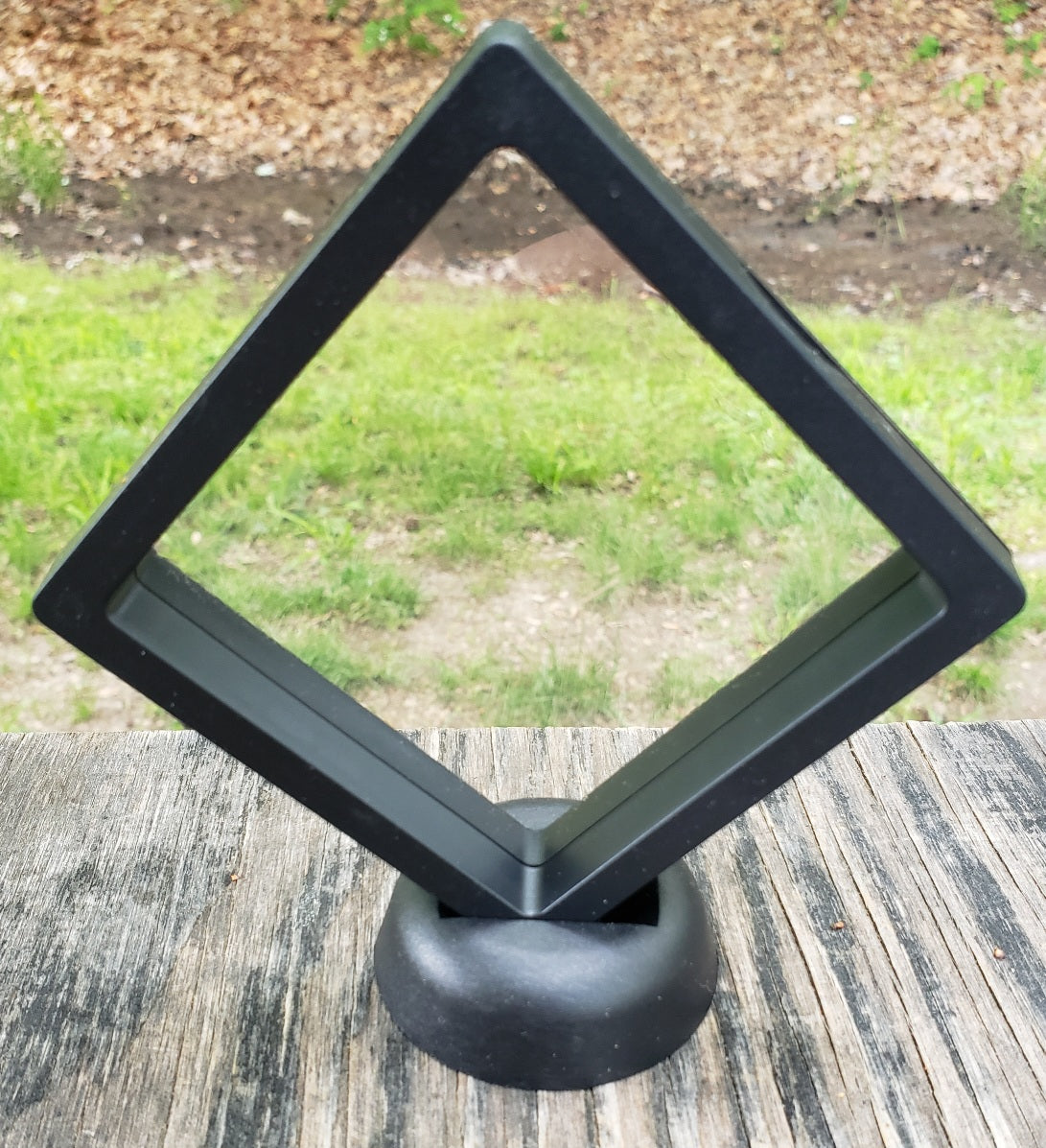 Clear protective display case with stand, 2