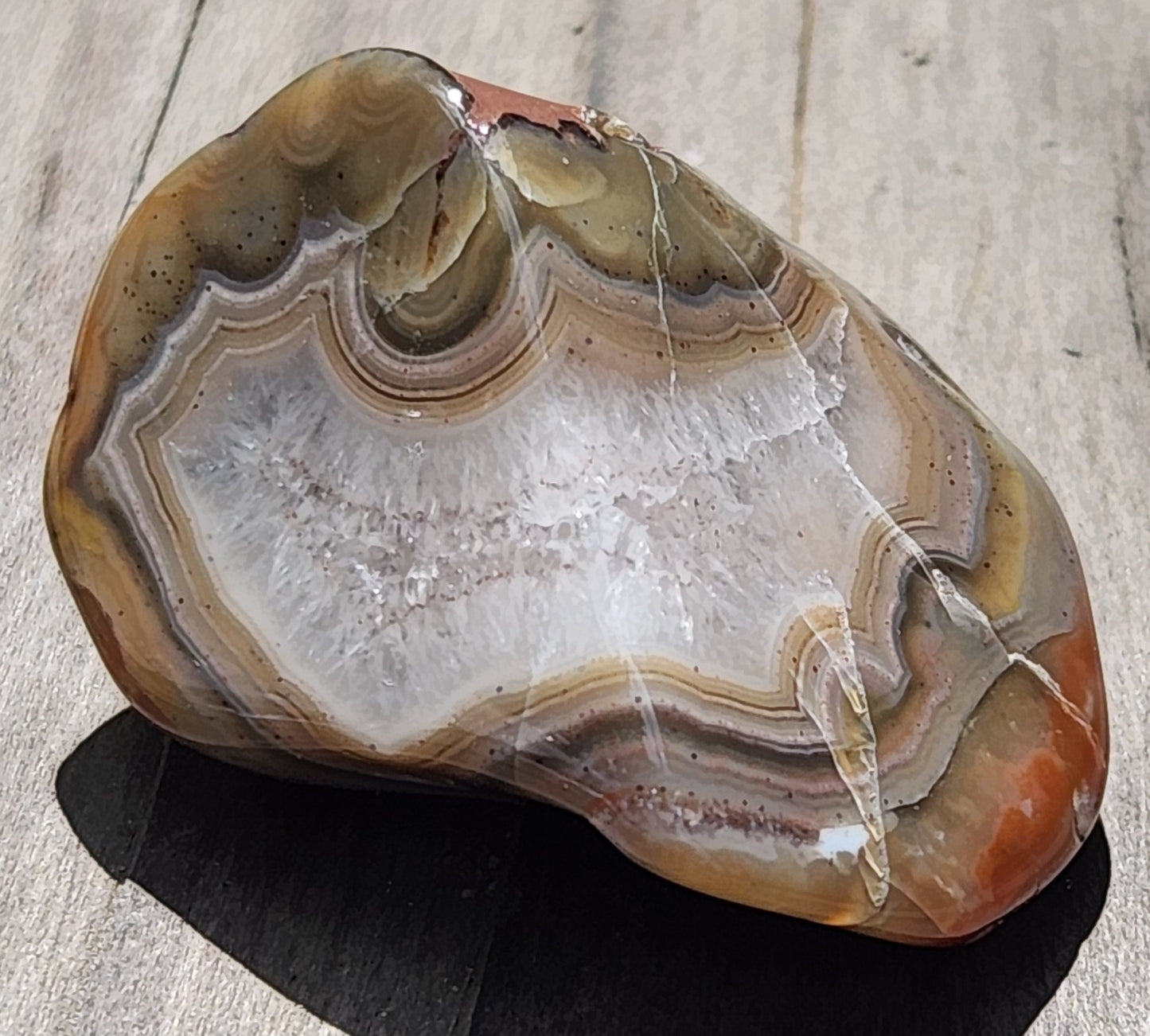 Natural Mexican Fortification Agate displayed in hand TA273