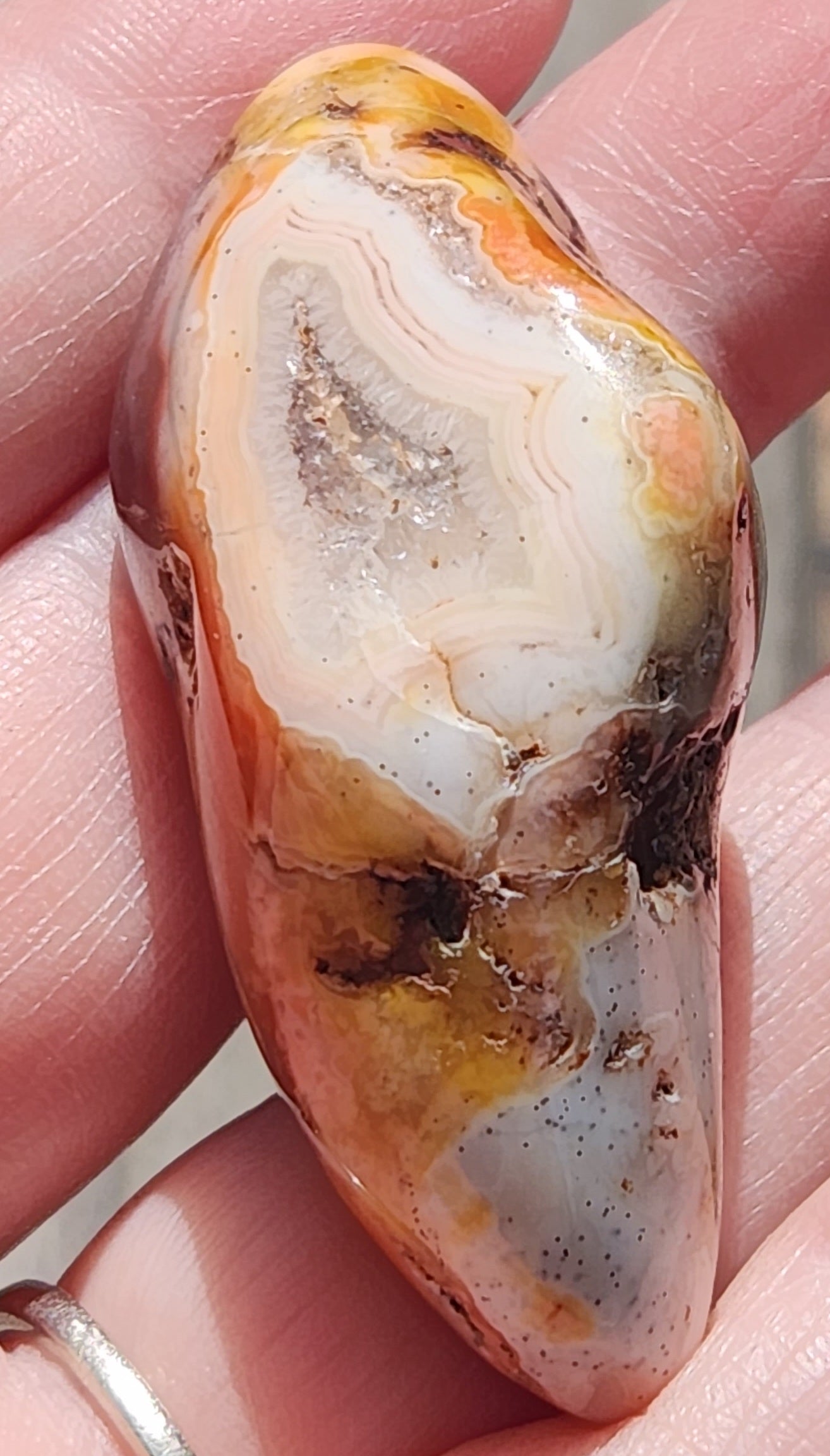 Natural Mexican Fortification Agate displayed in hand TA274