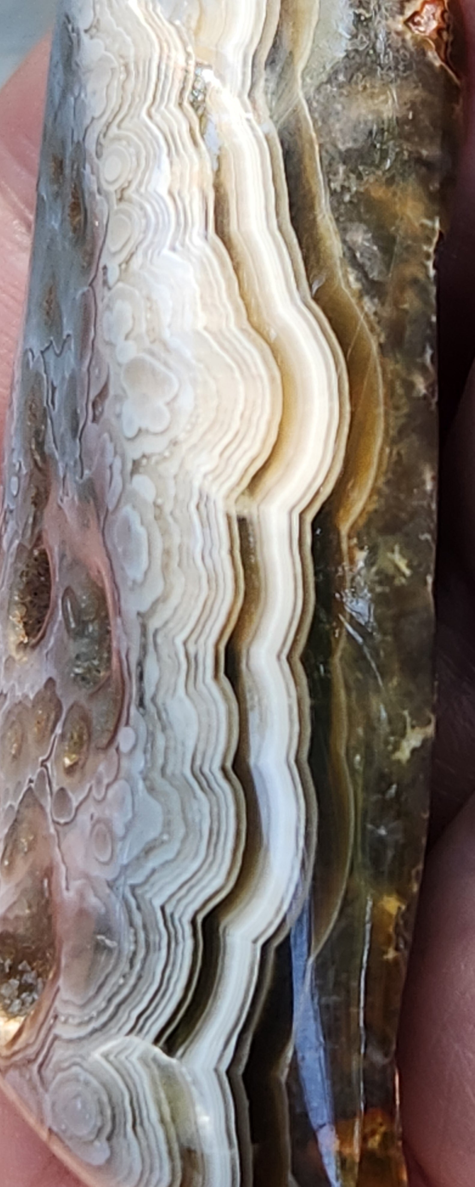 Mexican Crazy Lace Agate showing flowing cream and ivory chalcedony, TA359