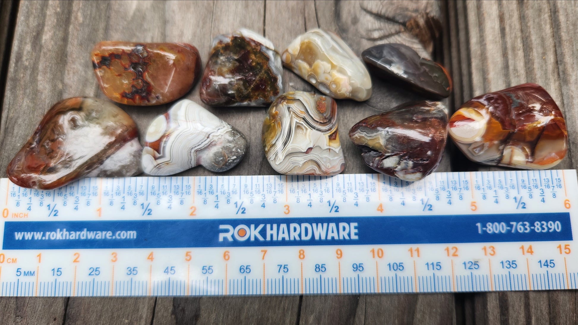 Polished Mexican Crazy Lace Agate showing classic fortification patterns with ruler, TA386