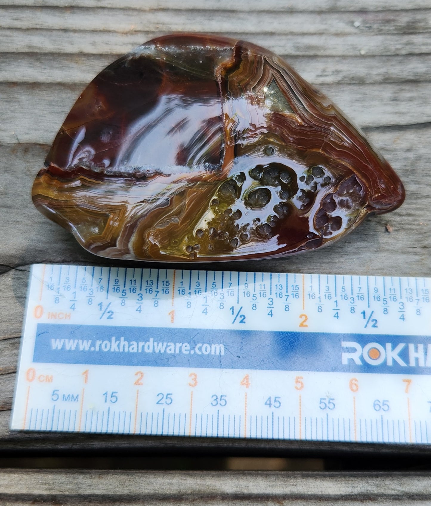 Mexican Crazy Lace Agate shown with ruler for size reference, TA355