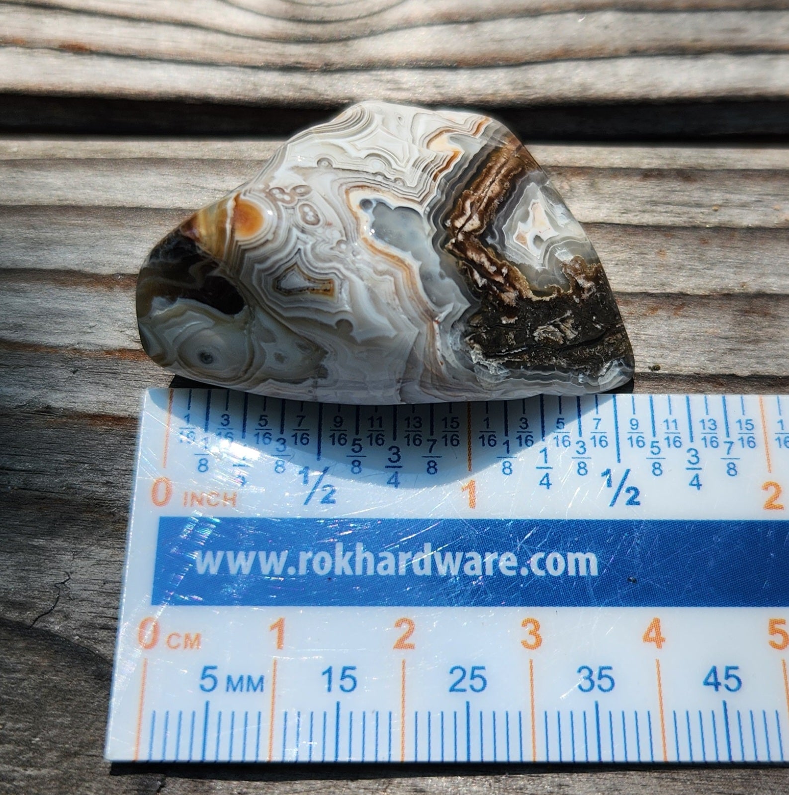 Crazy Lace Agate displayed with ruler for size reference, TA361
