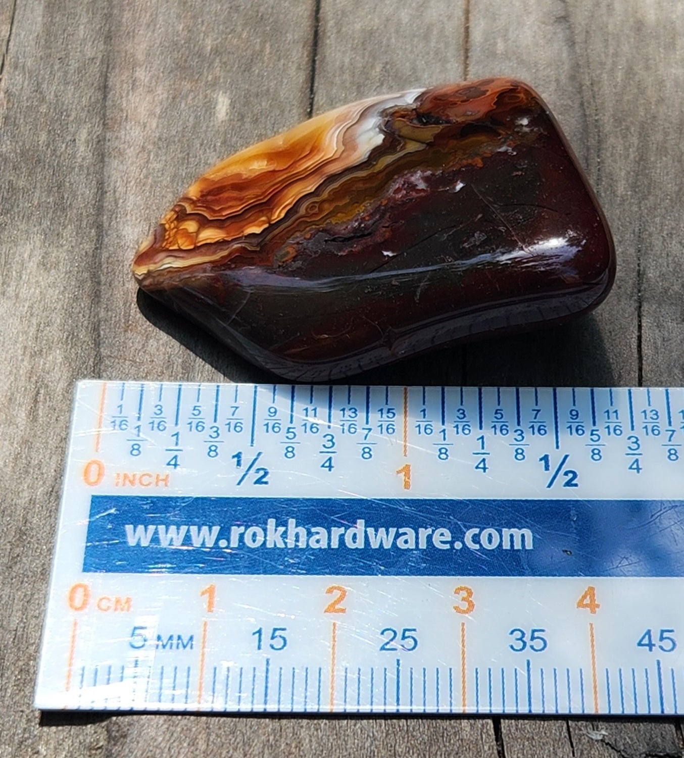 Mexican Crazy Lace Agate displayed with ruler for size reference TA369