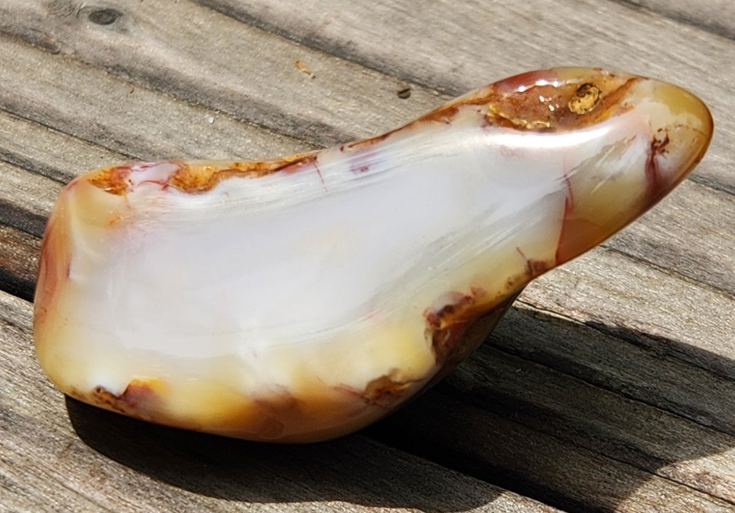 Polished banded agate featuring honey and amber edges TA276