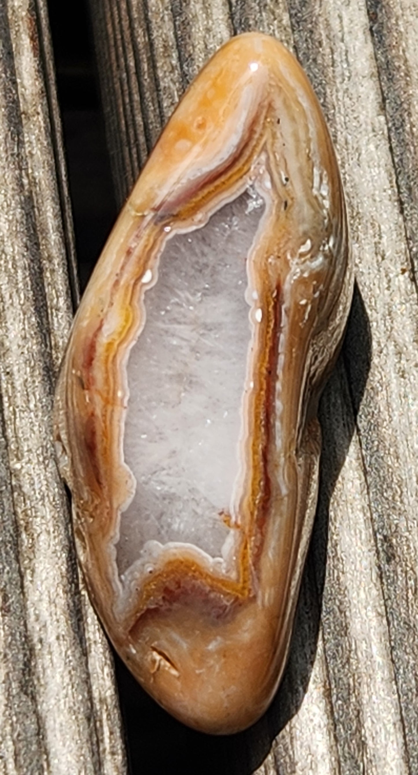 In-house tumbled Mexican agate with translucent center TA272