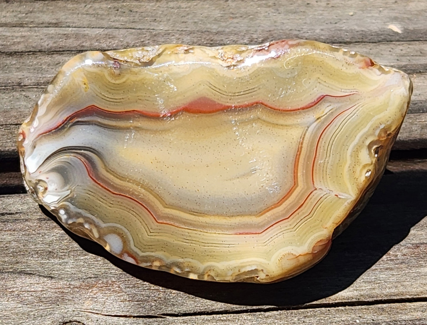 Mexican Fortification Agate with golden layered banding TA326