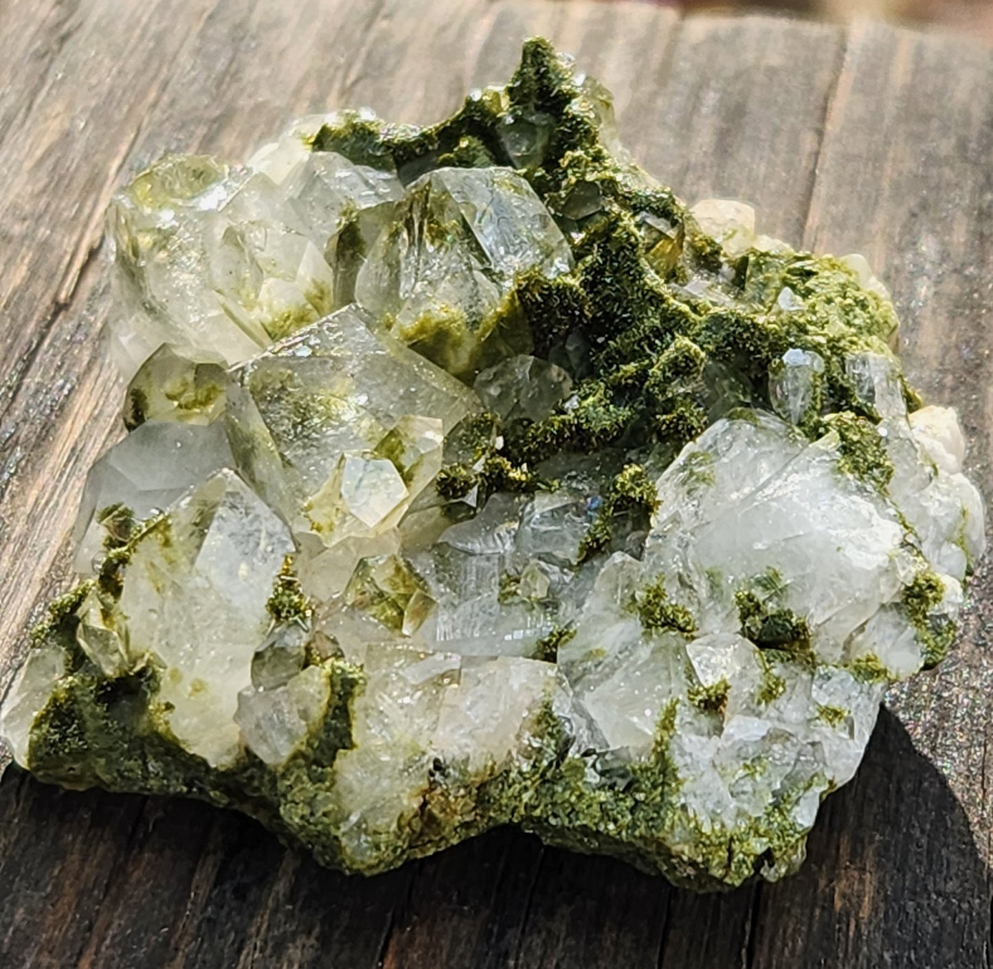 Close-up of green epidote crystals and clear quartz on natural matrix from Hakkari Turkey. SP467-02