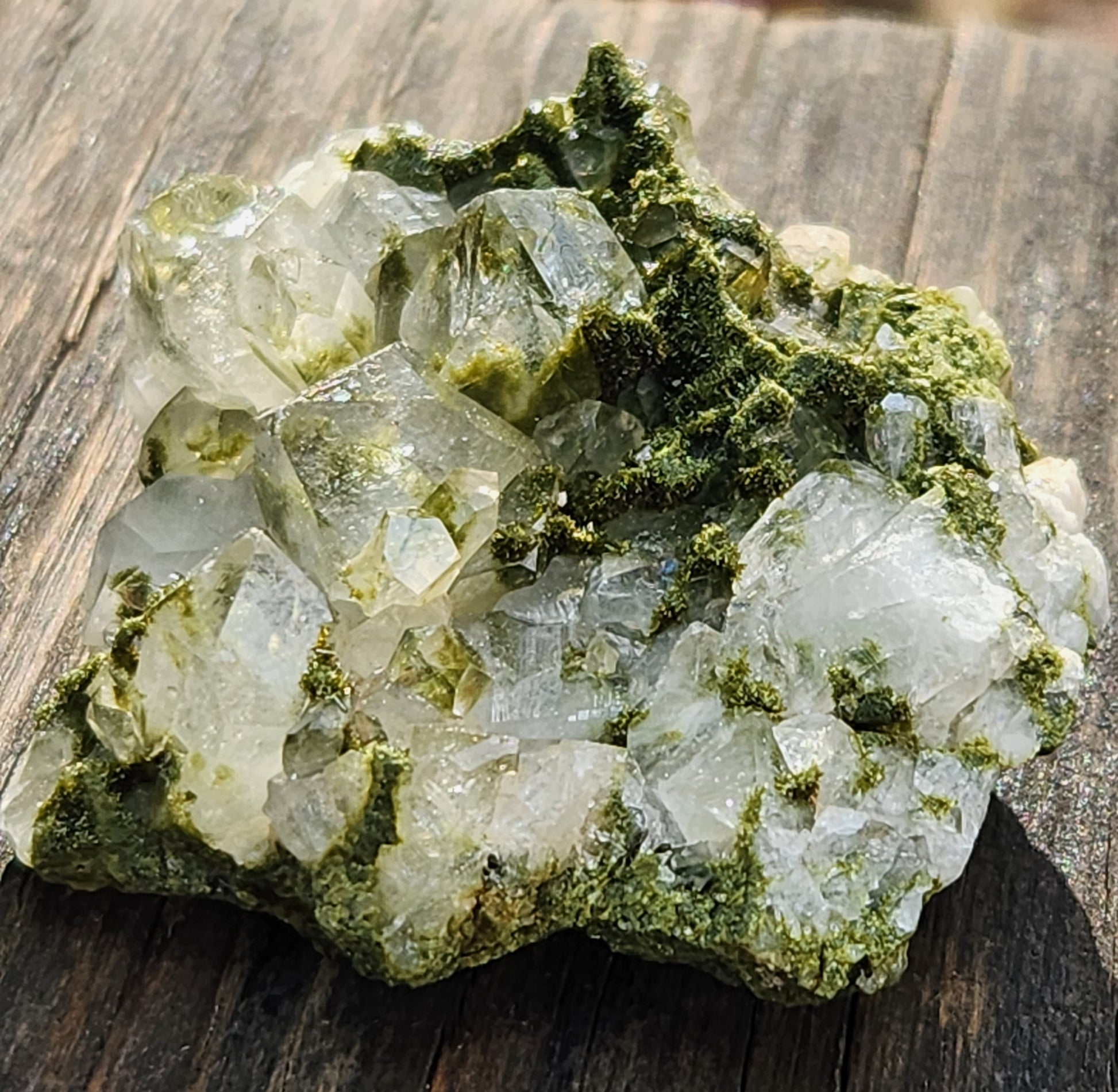 Close-up of green epidote crystals and clear quartz on natural matrix from Hakkari Turkey. SP467-02