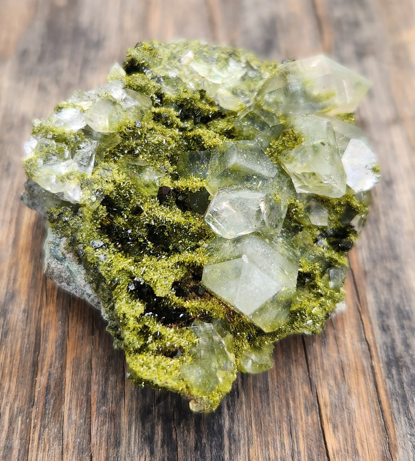 Close-up of green epidote crystals and clear quartz on natural matrix from Hakkari Turkey. SP469-03