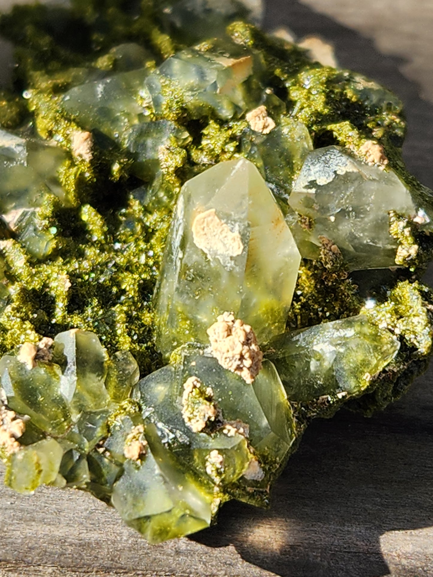 High-Grade Forest Epidote with Quartz | Hakkari Turkey | SP453