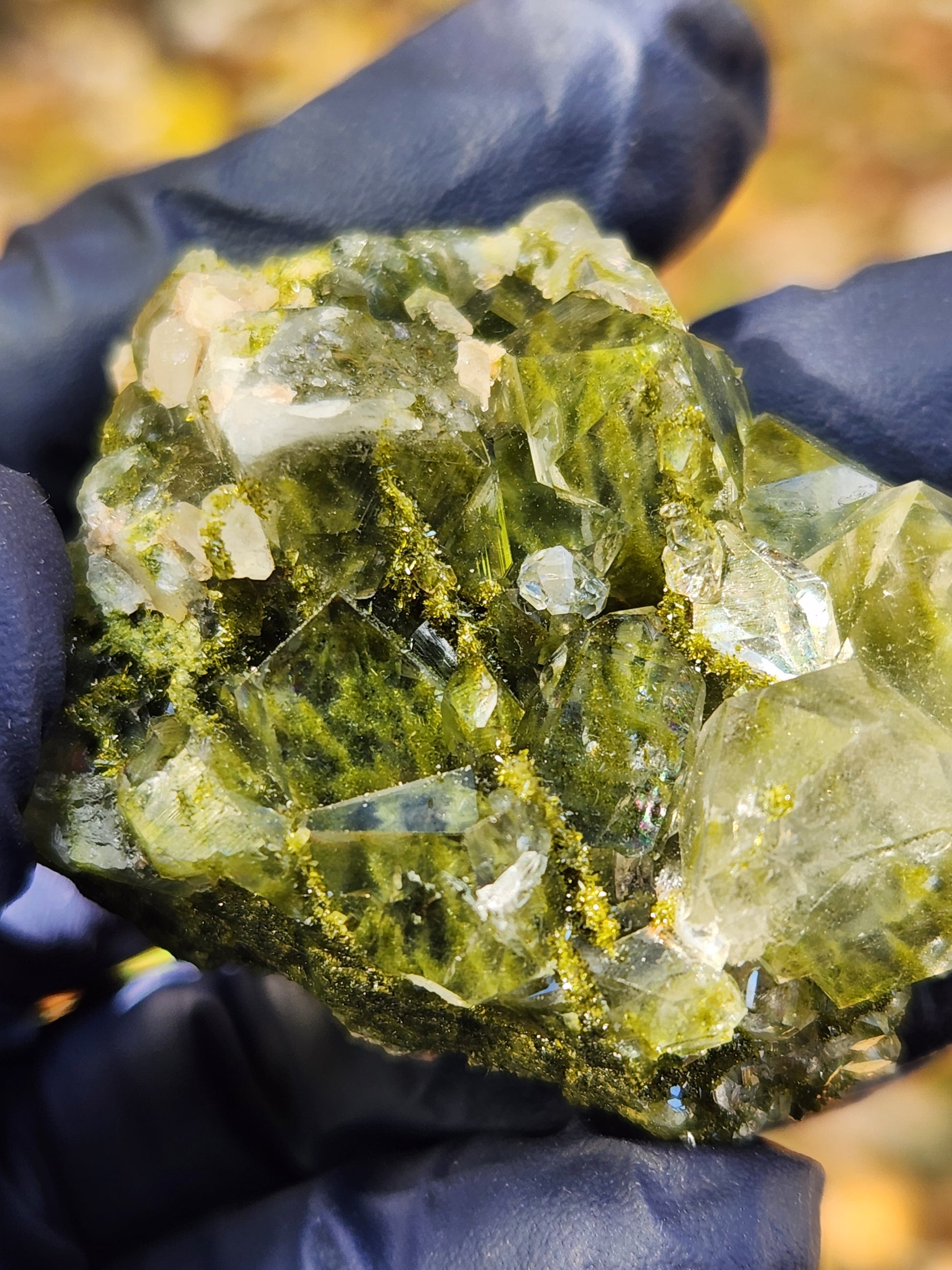 Close-up of green epidote crystals and clear quartz on natural matrix from Hakkari Turkey. SP455-01