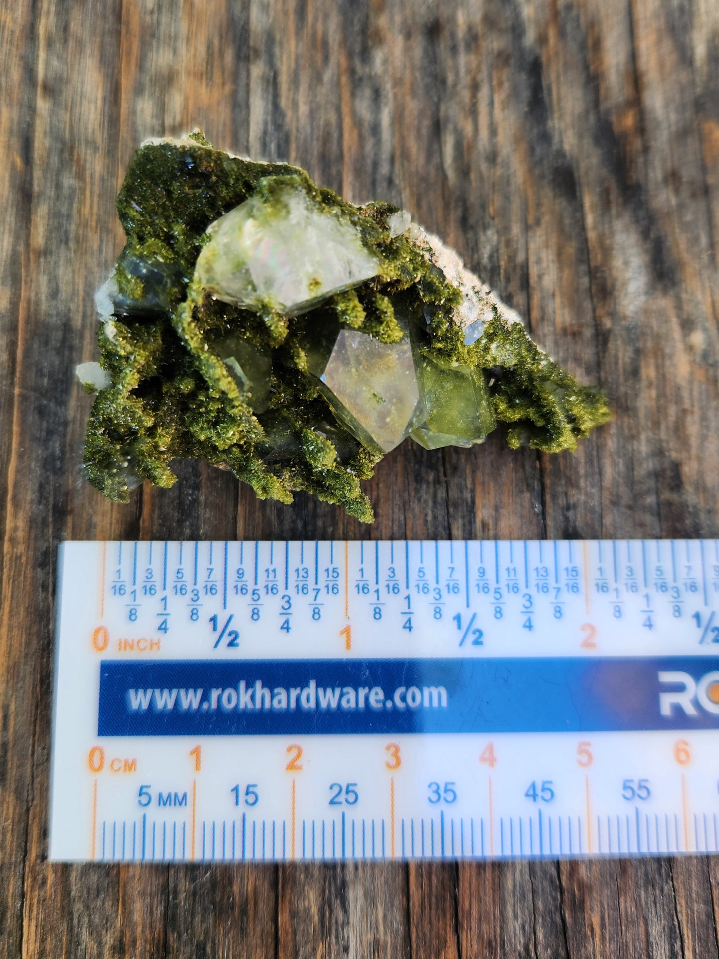 Forest epidote with quartz mineral photographed showing size. SP456