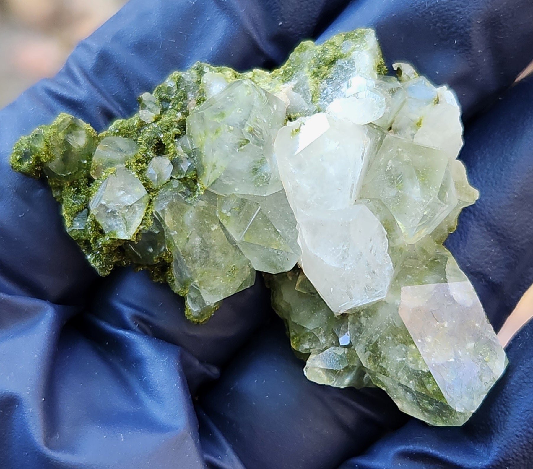 Close-up of green epidote crystals and clear quartz on natural matrix from Hakkari Turkey. SP459