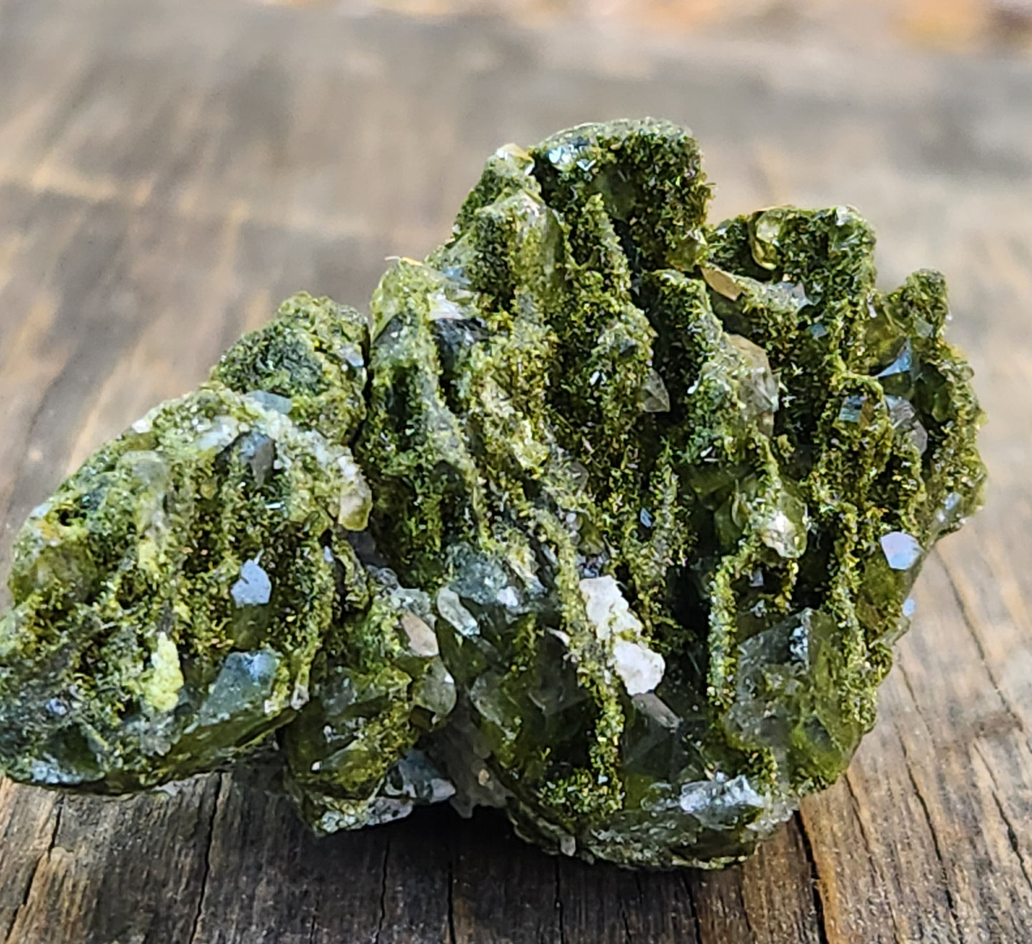 Close-up of green epidote crystals and clear quartz on natural matrix from Hakkari Turkey. SP460