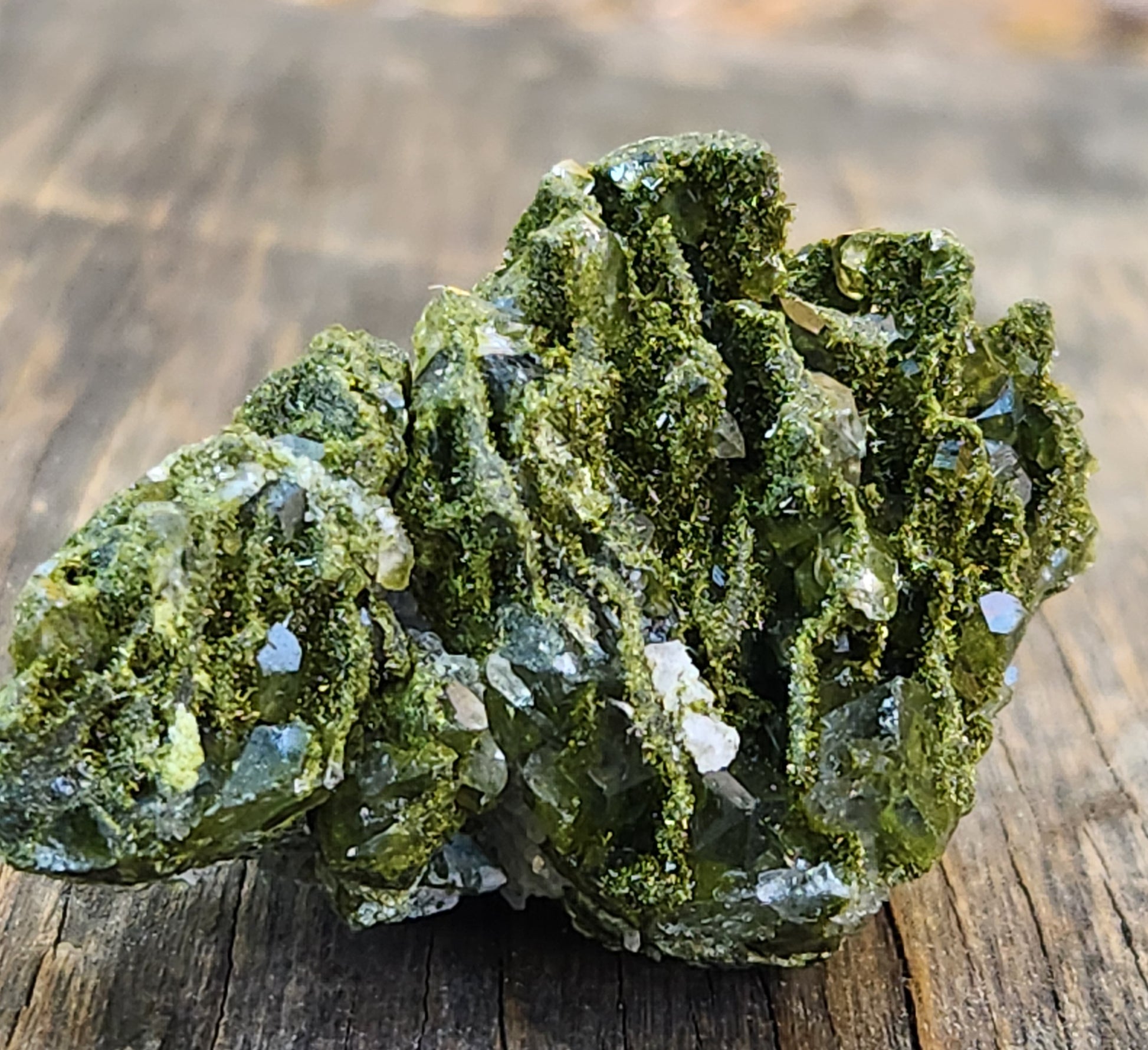 Close-up of green epidote crystals and clear quartz on natural matrix from Hakkari Turkey. SP460