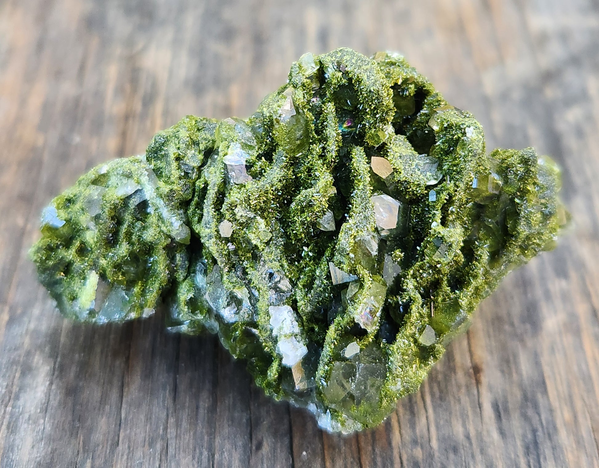 Close-up of green epidote crystals and clear quartz on natural matrix from Hakkari Turkey. SP460-01