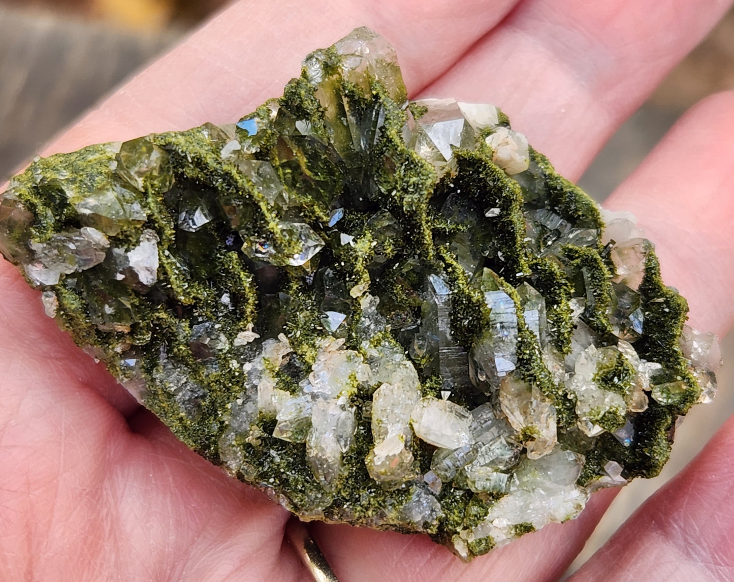 Close-up of green epidote crystals and clear quartz on natural matrix from Hakkari Turkey. SP462
