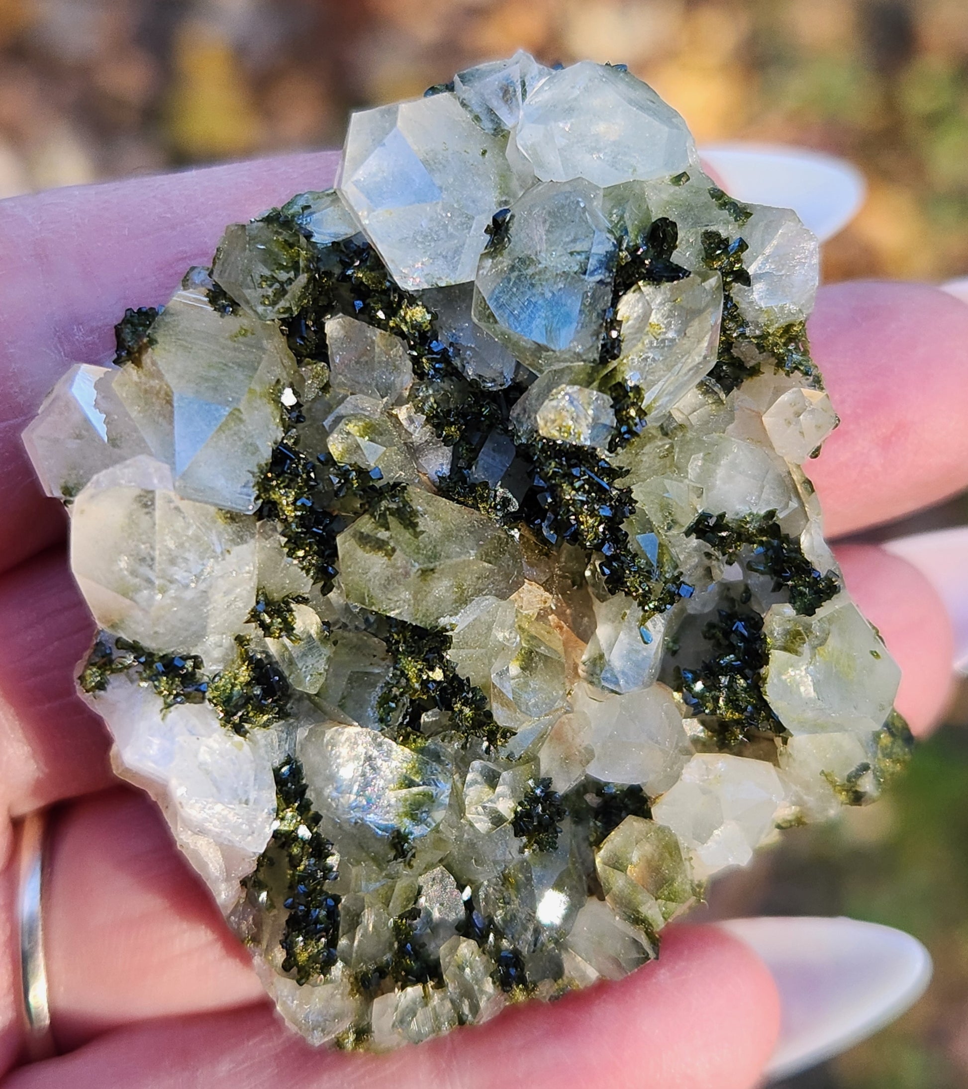 Close-up of green epidote crystals and clear quartz on natural matrix from Hakkari Turkey. SP472-01