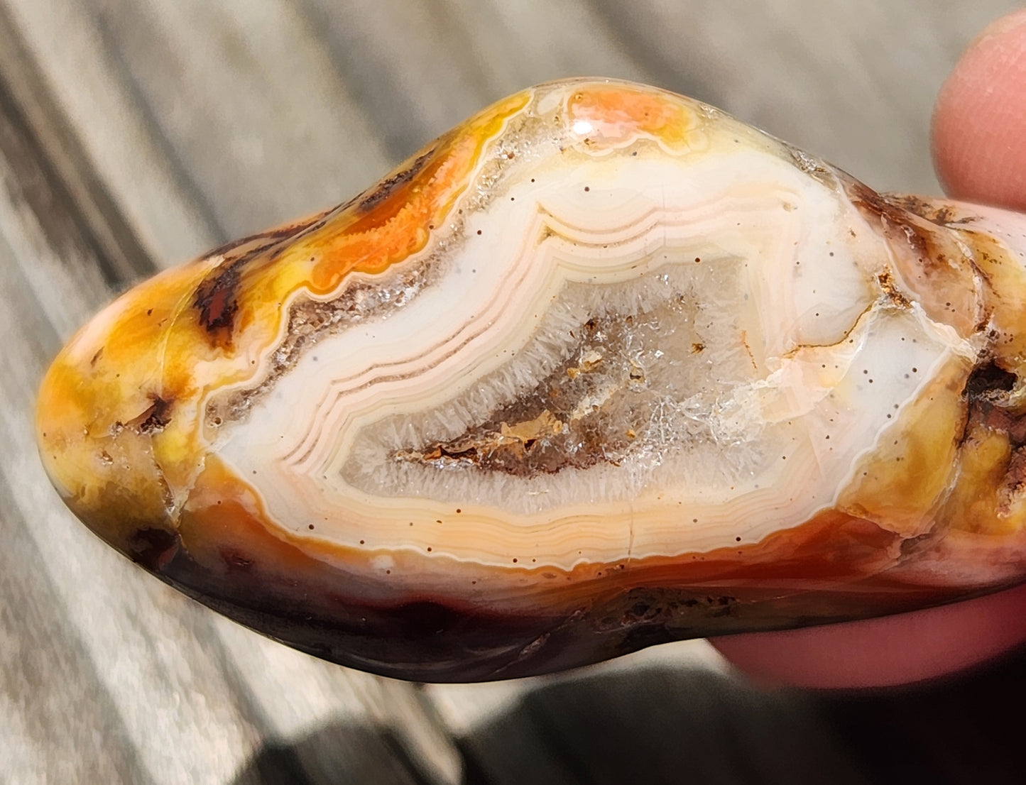 Polished banded agate featuring honey and rust tones TA274
