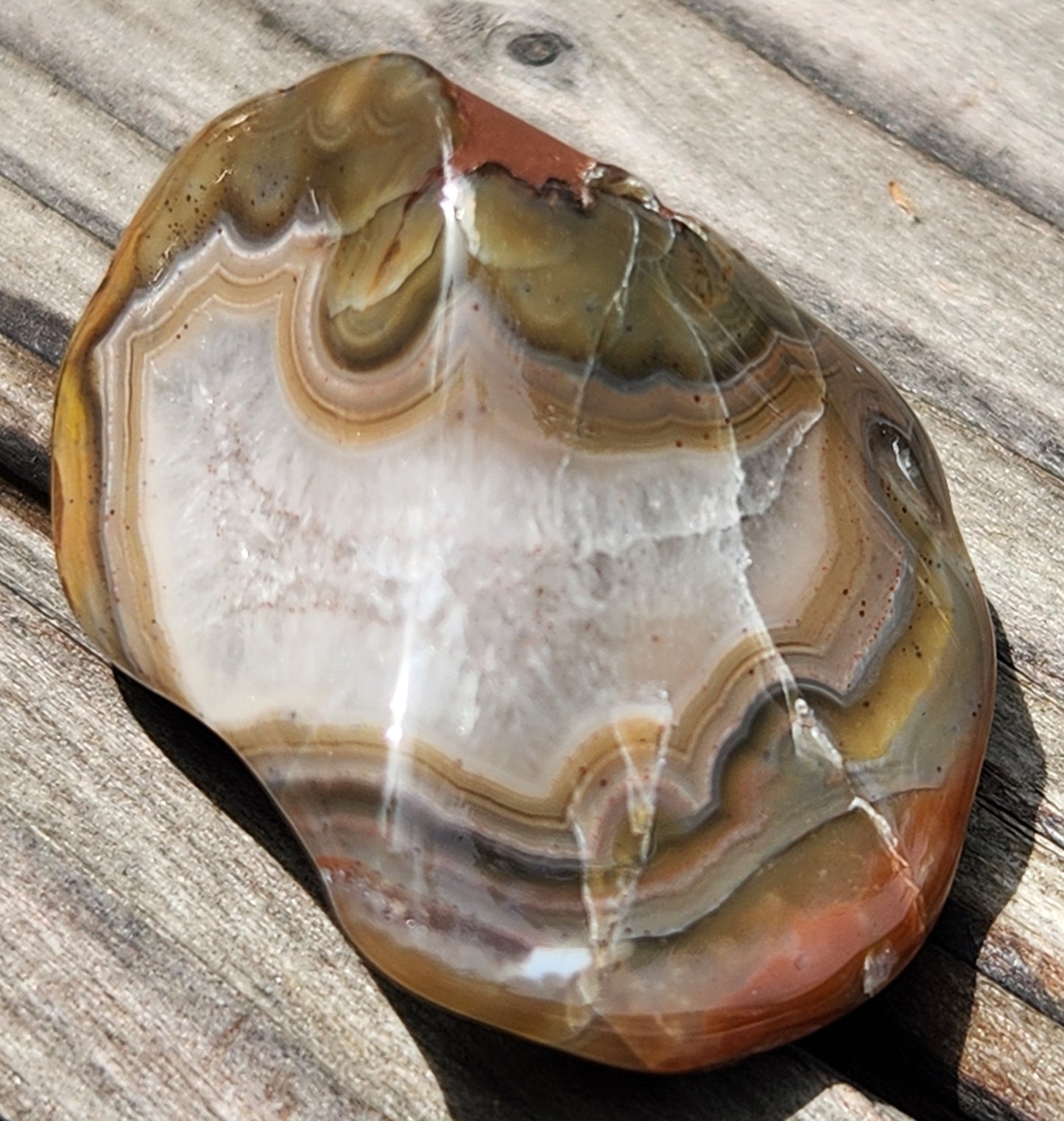 Polished banded agate showing flowing fortification layers TA273
