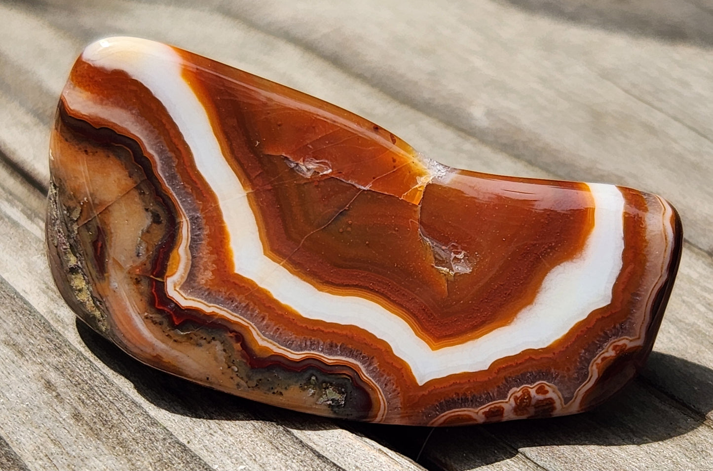 Mexican banded agate showing thick white separation layer TA268